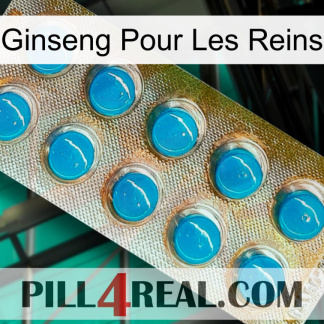 Ginseng For Kidney new09